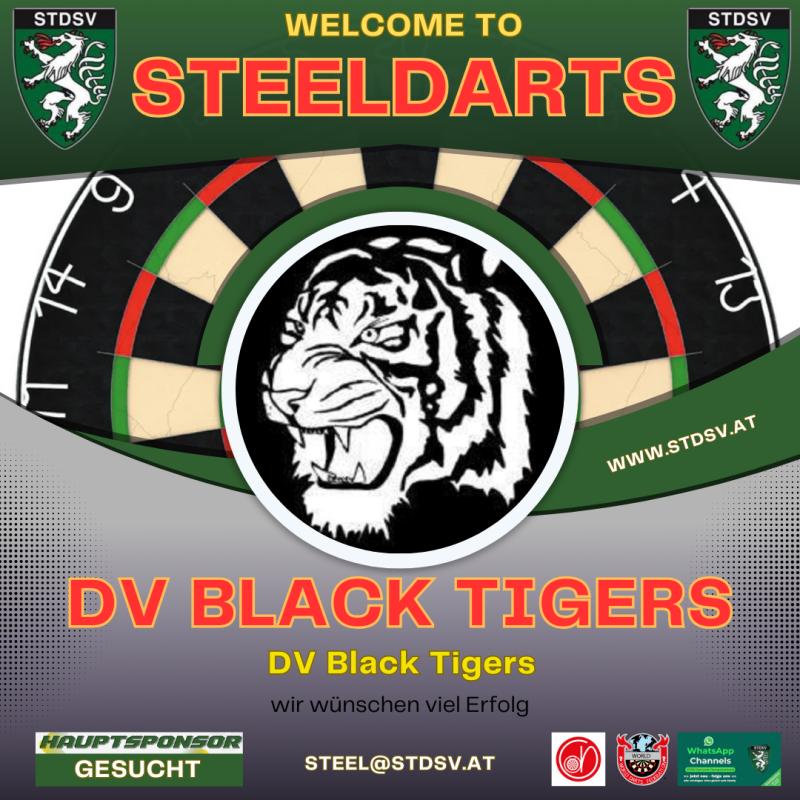 STDSV STEELDARTS