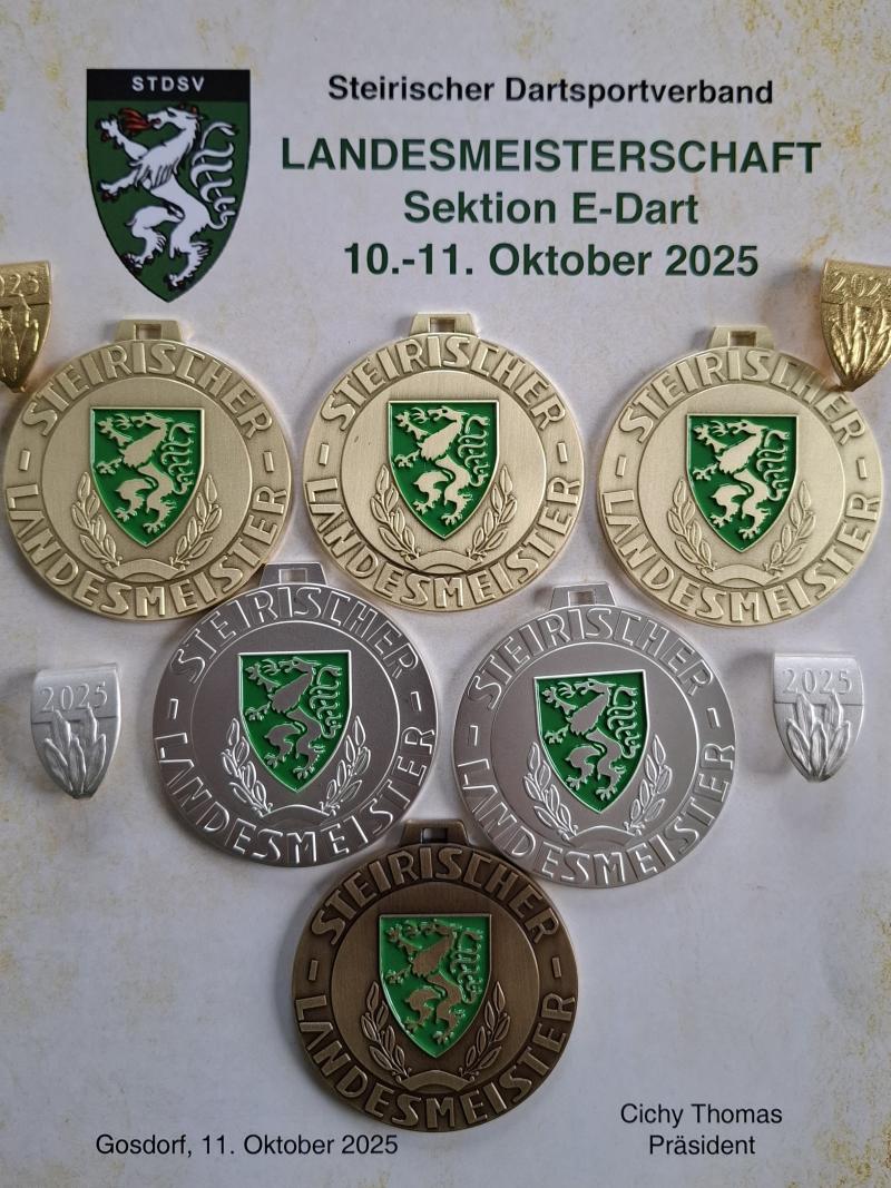 STDSV E-DARTS